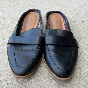Torrid Mules 8.5W